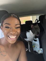 Dog Sitter Needed for Arizona to Ohio Transition