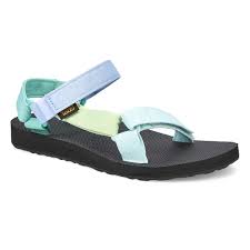 Among their discoveries was a genetic clue about the snail's metal armour, which was. Https Www Softmoc Com Ca I Birkenstock Lds Birkenstock Blue Arch Support 010001 2021 07 12 Daily Https Www Softmoc Com Items Images 010001 Xxx Jpg Women S Birkenstock Insoles Contoured Cork High Flanges And Deep Heel Cups Provide