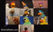 For zoom's virtual background video to work without a greenscreen, you must have a fairly modern. Zoom Gifs Tenor
