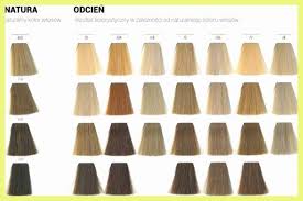 Ion color brilliance master colorist hair april golightly. Ion Color Chart Sally Beauty Supply Ion Hair Color 55148 Ion Color Brilliance Permanent Hair Dye Experience Tutorials Ion Color Brilliance Demi Permanent Felicitasu Mobbed