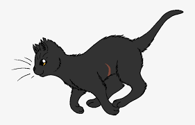 Warrior cat coloring pages nails warrior cat coloring pages fun for kids. Slate Warrior Cats Coloring Pages Free Transparent Png Download Pngkey