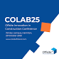 COLAB25 event in Hamilton