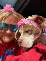 No more “I wish I can adopt!” Supportively adopt a foster child for their  birthday! 🎂♥️🥰