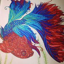 The Aquarium Beta Fish Coloring Book Coloring Books Coloring Book Pages Color