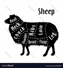 Cut Of Sheep Diagram For Butcher Sheep Cut