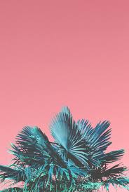 Pin By Alessia Franceschi On California Fashion Wallpaper Art Iphone Wallpaper