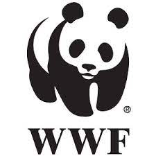 Noting that 12,000 african elephants are illegally killed each year to supply domestic ivory markets. Wwf Embarks On Save Turtles Journey Citizens Journal Malaysia