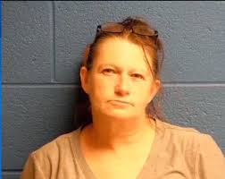 Woman Charged after 31 Dogs Seized from 'Unlivable' Greene County Home,  Police Say