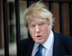 Even though the buzz cut refers to several super short haircuts, we usually associate it with the form of a butch cut. Donald Trump With Boris Johnson S Haircut Face Swap Online