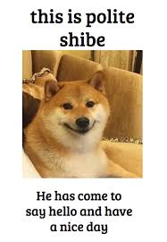 Polite Shibe Is Here Shiba Inu Shiba Inu Puppy Cute Animals