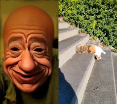 #duet with @Zz #pet Oh Elmer!