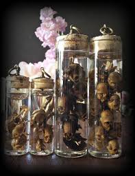 Styles 1 4 Are Left To Right This Vial Contains Snapdragons Antirrhinum Seed Pods Attached To The Stem Once The Sn Snapdragon Flowers Seed Pods Snapdragons