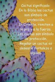 Los cactus se han ganado una bien merecida reputación a través de los años por ser espinosos y muy originales, por eso cada vez son más usados en tatuajes. Significado De Los Cactus Frases De Cactus Cactus Significado Imagenes De Cactus