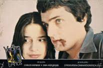 Sessão AAMICCA celebra os 40 anos de Verdes Anos