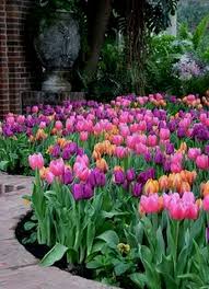 15 Beautiful Flower Garden Arrangement For Amazing Home Ideas Decor It S Tulips Arrangement Beautiful Flowers Garden Beautiful Gardens