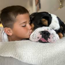 You already know Ladies👊🏽 #BuildingChampions #TheAlexanderWay  #WeAreOneBulldogNation