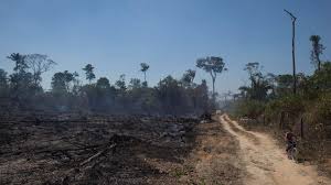 11a edição da operação base arpão. Ist Der Amazonas Urwald Noch Zu Retten Swr2