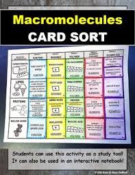 Pin On Mrs G S Science Products