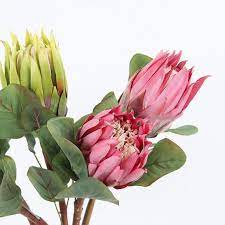 Artificial Flower Protea Cynaroides Flower Stem 26 Tall Faux Flowers Artificial Flowers Protea Flower