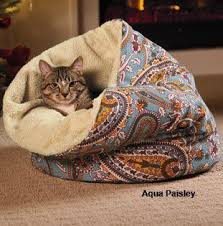 amazon com cat bed berber cove color aqua paisley pet supplies my blog kopek yataklari evcil hayvan aksesuarlari evcil hayvan kiyafetleri