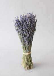 Pin On Flowers