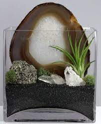 Best Amazing Magical Crystal Gardens Ideas Picture 27 Crystal Garden Air Plants Air Plant Terrarium