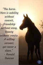 Pin By Saddles N Stuff On Inspirational Horse Quotes Inspirational Horse Quotes Horse Quotes Horse Riding