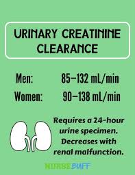 Laboratory Values And Interpretation A Nurses Ultimate