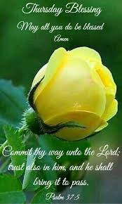 Pin By Mokey Jones On Daily Blessings Thursday Thankful Thursday Happy Thursday Morning Good Morning Thursday