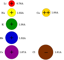 Plant cells have a strong cellulose cell wall on the outside of the cell membrane. Membrane Potential Wikipedia