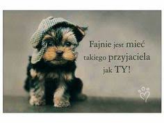 Check spelling or type a new query. 300 Przyjaciel Ideas Cytaty Cytaty Zyciowe Mysli