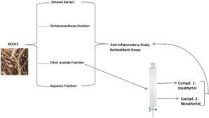 Image result for Hippocratea africana