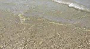 Vai ai dettagli spiaggia 93 cam 1: Il Mare Oggi Bagno 108 109 Playa Del Sol Riccione