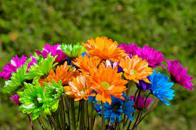 We did not find results for: Crazy Daisies Free Stock Photos In Jpg Format For Free Download 3 64mb