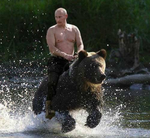 Topless Putin riding a bear