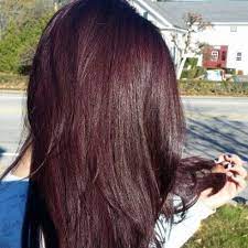 How to remove black dye out of your hair | dye black hair red hey everyone! How Can I Dye Black Hair Purple Without Bleach Quora Kleur Haar Stijl Haar Haarverf