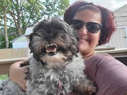 Connecting with fellow dog walkers and sitters