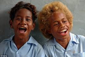 The melanesian people have a native tyrp1 gene which is partly responsible for the blond hair and melanin, and is totally distinct to that of caucasians as it doesn't exist in their genes. Riddle Of Solomon Solved Scientists Find South Sea Islanders Blond Hair Didn T Come From Europeans But Evolved Separately Daily Mail Online