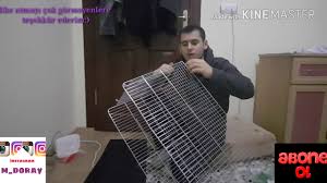 Muhabbet Kusu Cift Hane Kurulumu Gitti Gidiyor Youtube