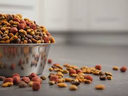 The best cat food for senior cats is tailored explicitly for senior cat health to benefit them inside and out. Dog Food Recall Are Pet Foods Made In Thailand Safe