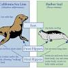 Maybe you would like to learn more about one of these? 3