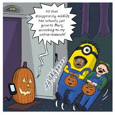 Image result for quirky halloween