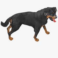 Max Rottweiler Pose Fur In 2020 Rottweiler Poses Fur