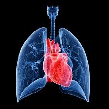 Learn more about the symptoms, causes, diagnosis, and treatment of cystic fibrosis from webmd. Canadian Study Finds Lung Transplant Survival Rates Good For Persons With Cystic Fibrosis Cystic Fibrosis News Today