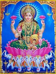 Mogarana phool: 2018