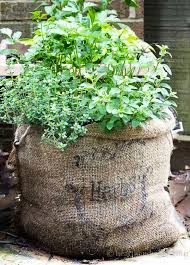 ↘(also sack dress) a woman s short, loose dress without a waistline. Herb Garden In A Burlap Sack Easy And Affordable To Make