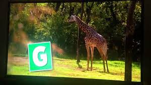 A rite of passage for musicians is having a song on the top 40 hits radio chart. Animal Atlas Animal Abc S Alphabet Song Video Dailymotion