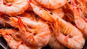 Camarones a la cucaracha riquisimos!!! Los Camarones Son Las Cucarachas Del Mar Expertos