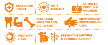Kurangkan masalah kulit berminyak dan berjerawat dengan gabungan blackmores bio ace plus dan blackmores evening primrose oil 1000! Vitamin C 500mg Blackmores Vitaminwalls