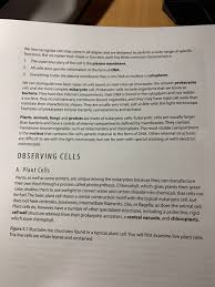 This means that divided further, its components (electrons, protons, and neutrons) do not retain the properties of the element. Exercise Cell Structure Observing Cells Under A Chegg Com